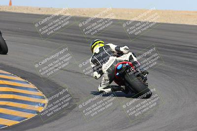 media/Feb-04-2023-SoCal Trackdays (Sat) [[8a776bf2c3]]/Turn 10 Backside (1010am)/